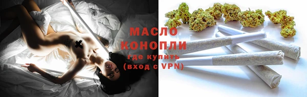 шишки Инта