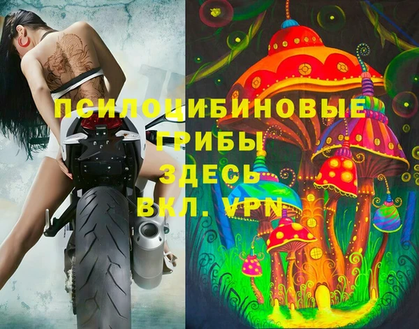 ALPHA-PVP Инсар