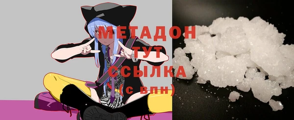 шишки Инта