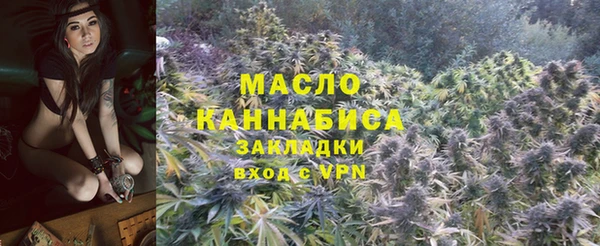 прущие грибы Зеленодольск