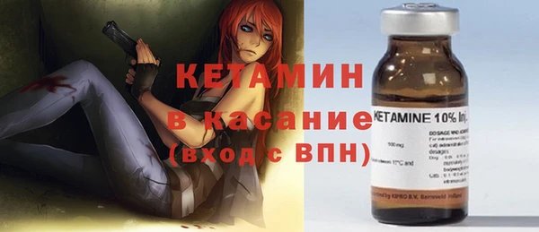 шишки Инта