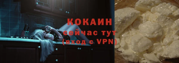 шишки Инта