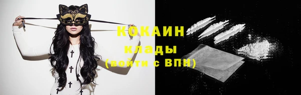 прущие грибы Зеленодольск