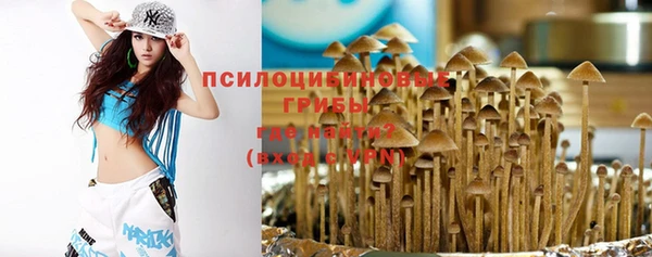ALPHA-PVP Инсар